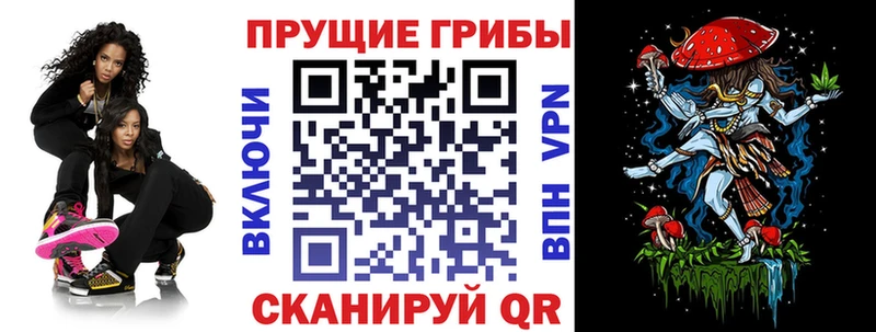 Галлюциногенные грибы ЛСД  Шагонар 
